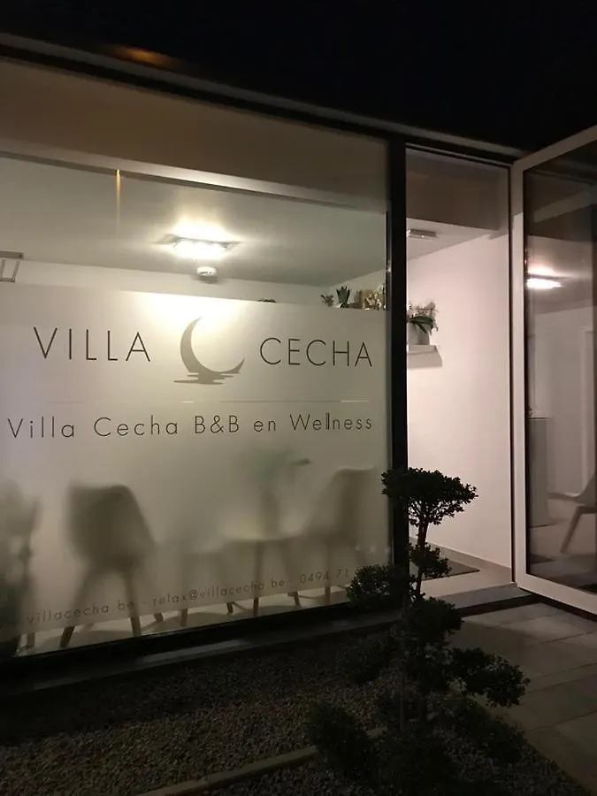 Villa Cecha B&b &Wellness Ostende 0*,