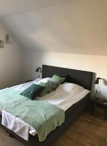 Villa Cecha B&b &Wellness Ostende